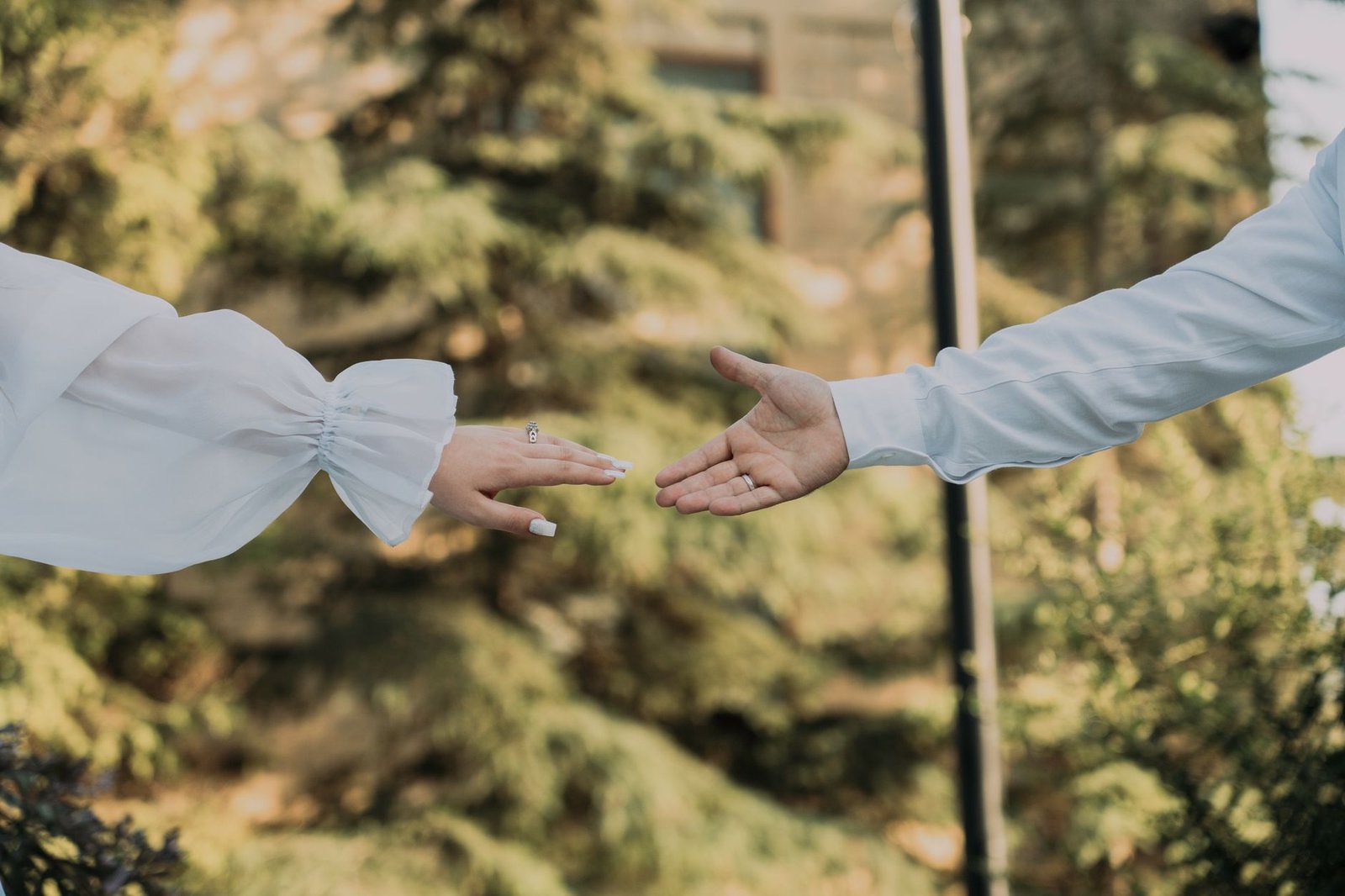 a couple holding hands in front of a tree