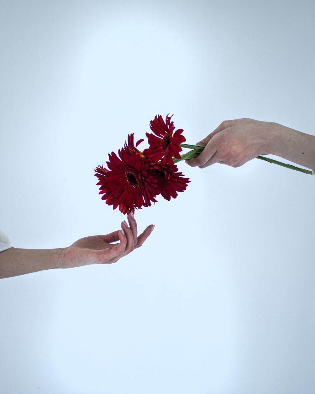 Limerence